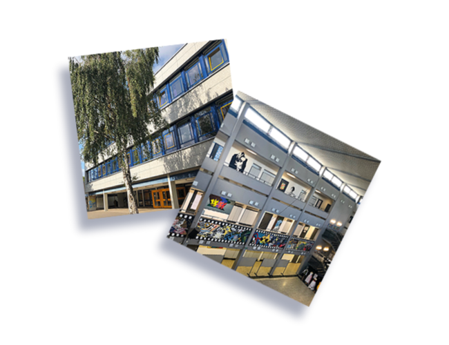 Gesunde Schule, Europaschule | Bibliothek | Cusanus-Gymnasium Erkelenz